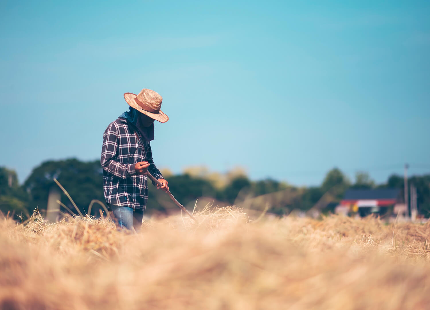 Farm Management